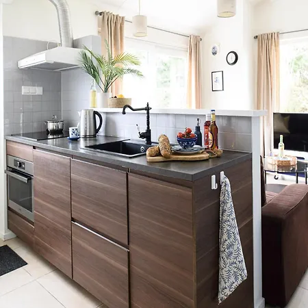 Comfort In Near Amsterdam *