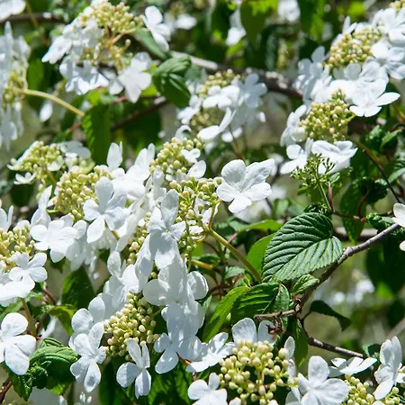Semesterbostad Comfort In Near Amsterdam